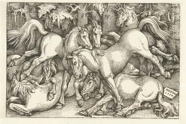 Grupo de siete caballos de combate
