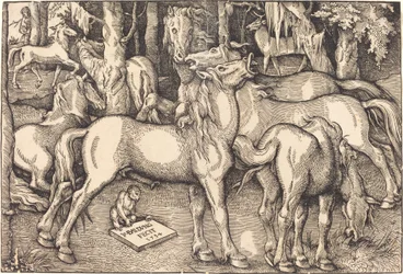 Grupo de siete caballos