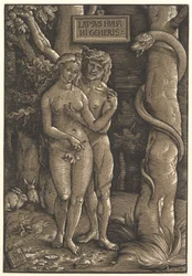 La caída de la humanidad, 1511