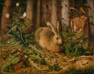 Una liebre en el bosque