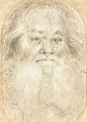 Estudio de un Hombre con Barba (verso)