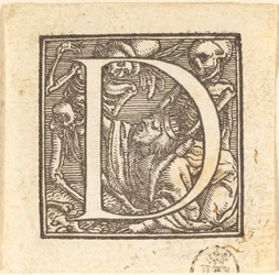 Letra D