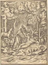 La creación