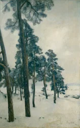 Desde el lago Bogstad