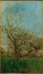 Árboles en flor Uerdenbach