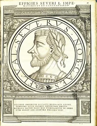 Seuerus D, ilustración de 