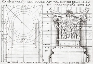 Sección transversal del capitel corintio y dibujo proporcional