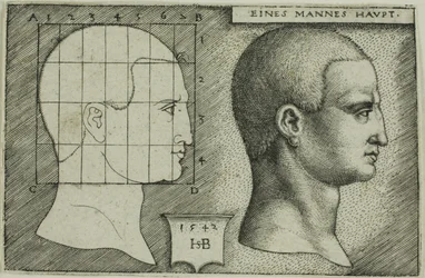 Estudio de perfil de la cabeza de un hombre