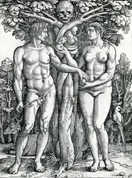 La caída de Adán y Eva, c.1525-27