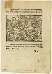 La lluvia de maná de Biblische Historien Künstlich fürgemalt, lámina cinco de Xilografías de libros del siglo XVI