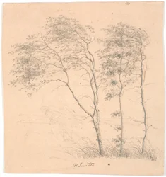 Tres árboles