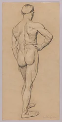 Desnudo masculino visto desde atrás