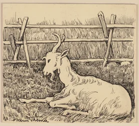 Dibujo para la cartilla: Cabra