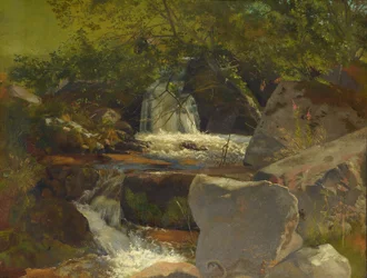 Arroyo de la Selva Negra