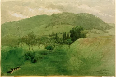 Paisaje de la Selva Negra