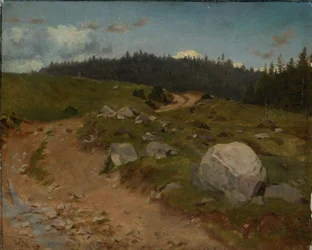 Camino pedregoso al borde del bosque