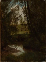 Abetos junto al arroyo del bosque