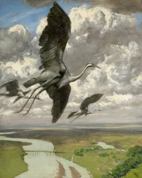 Aves Maravillosas