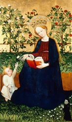 Las fresas Virgen