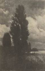 Camera Work: Álamos y nubes, 1906