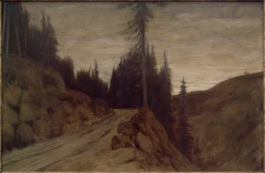 Abetos en el crepúsculo