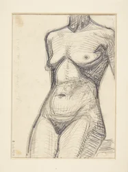 Torso de modelo femenina