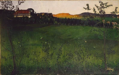 campo maduro