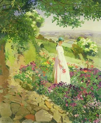 Verano