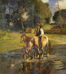 El abrevadero