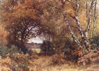 The Edge of a Wood, Royal Common (litografía en color)