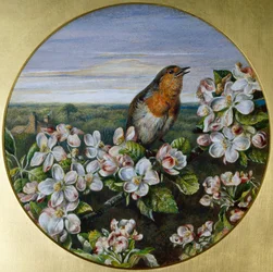Un petirrojo entre flores