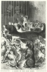 Una escena en el hogar de los perros