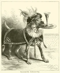 Perro llevando un plato