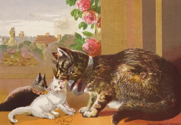 Puss and her Kittens (litografía en color)