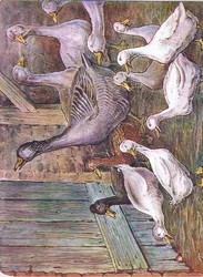 Por qué lo declaro, 1920