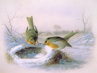 Nido de los Últimos Años, 1886