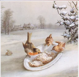 Petirrojos y Chochines: Desayuno de Invierno