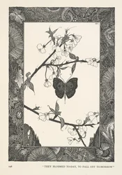 La mariposa. Florecieron hoy, para caer mañana.