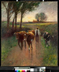 Pastoreo de vacas