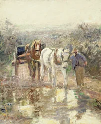 Caballos y carro