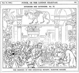 La reunión de la Sociedad Zoológica Real, Hanover Square, Londres, 1885