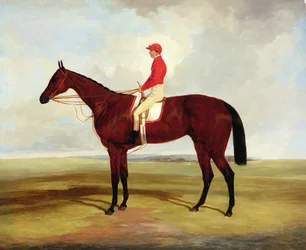 El caballo de carreras alazán Surplice de Lord Clifden con S. Templeman arriba (óleo sobre lienzo)