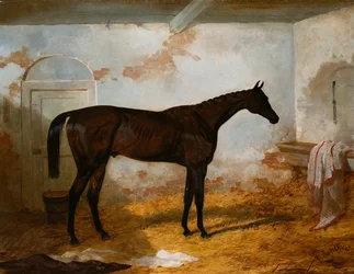 El potro bayo de Mr. A.W. Hill "Sweetmeat" en una caja suelta, 1845
