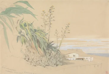 Aloes y chumberas, Tarragona, España