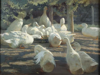Luz del sol y sombra (óleo sobre lienzo)