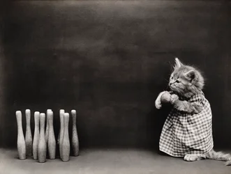Serie Gatitos: Bolos, c.1914 (grabado en plata)