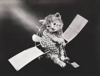 Serie Gatitos: Pilot Flying Plane, c.1914 (grabado en plata)