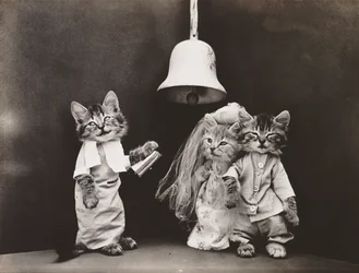 Serie Gatitos: Boda, c.1914 (grabado en plata)