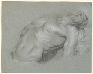 Torso de un modelo masculino fuertemente reclinado