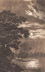Luz de luna sobre un lago